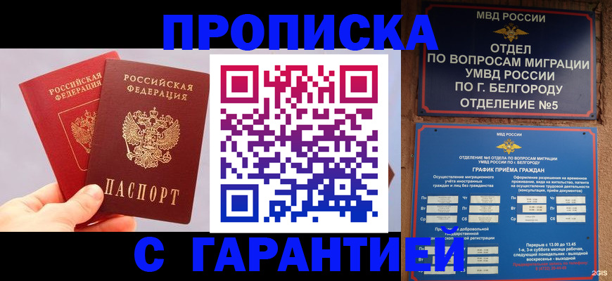 прописка 2025 в Реутове